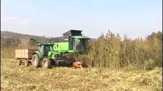 Indigenous production trade alliance