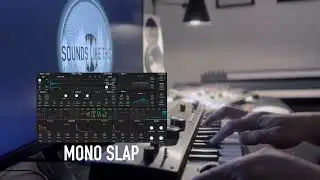 The 10 BEST Arturia Pigments BASS Presets | Sounds Like This