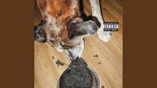 Doggybag