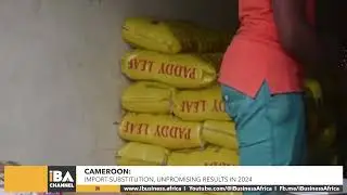 CAMEROON: IMPORT SUBSTITUTION, UNPROMISING RESULTS IN 2024