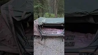 Палатка-кровать от Cabela's. Вы бы спали в такой? #палатка #кемпинг
