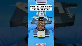 Oreo Biscuit Inside the Microscope 😱 #shorts #microscope #ytshorts