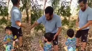 Salman Khan and Ahil go fruit picking at farm and it's the most ADORABLE thing on the internet today
