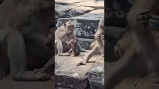 DeeDee and Maria mom. #shortvideo #shorts