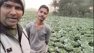 Flabia  Agro Care  Bio-Touch an Organic  7278372236 