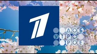 Jungleroad на первом канале