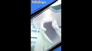 Nihilego Ultra Beast Raid