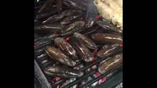 Date shells and shrimp on a smoky grill, &scaron;kampi, prstaci