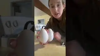Using a GIANT goose egg #shorts #homestead