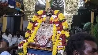 శ్రీ యతిరాజనాథ వల్లీ తాయార్లు అమ్మ/7వ రోజు దర్శనం/Adikeshava yemberu mannaar devasthanam/Narsapuram 