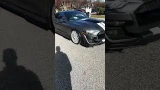 Team CHALLENGER or MUSTANG??