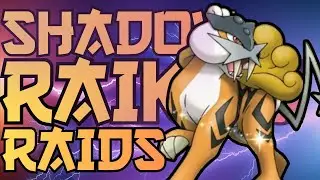 ✨️ Shadow Raikou Raids!  Shundo Hunt ✨️