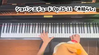 ショパン エチュード集 第11番 「木枯らし」 Op.25-11 イ短調/Chopin, Frederic : 12 études　Etude No.11 a-moll Op.25-11