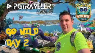 PGTraveler - Go Wild Day 2 Shiny Impidimp Caught in a Safari Ball !