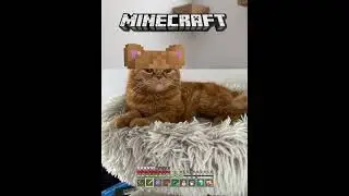 Tonche en minecraft #guzmancitos #gatos #cat #minecraft