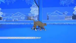 Invisible Fence&reg; Brand Containment Solutions