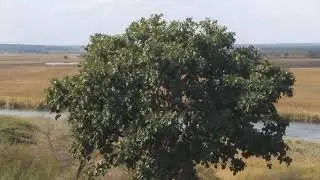 Rio cuito cuando cubango Menongue