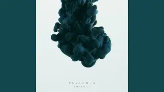 Plethora
