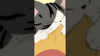 chi's sweet home