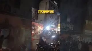 Cafe Nilofer Hyderabad #shorts #trending #nilofercafe #niloferchai