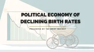 The Political Economy of Fertility: Growth, Policy & the Future of Populations l The Brief Insight