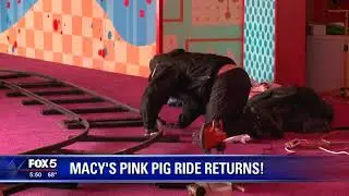 Pink Pig returns to Macy's