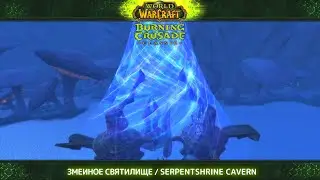 WoW TBC Classic. #102. Снова SSC / Змеиное / одиннадцатый КД