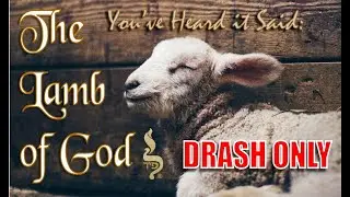 The Lamb of God? (Drash only) | Is Hebrews 9:22 True?