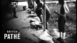Field Hospital - Burma ? (1944)