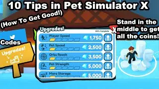 [OUTDATED] 10 Tips in Pet Simulator X (Become Good)