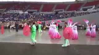 Performance in the Coliseum - 2014 Rose Parade