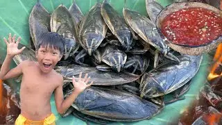 Decko streams, chapter: Primitive Foodie KH #026 Catching & Cooking Giant Water Bugs