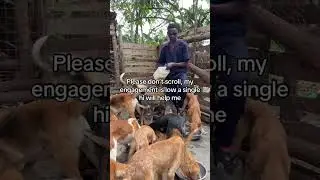 #dogscare #feedingpets #adoptstrays #rescue #adopt #helpmemakethismakesense 🙏🙏🙏🙏🍱🍱🍱🍱🐶🐶🐶🐶