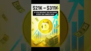 DCA Dogecoin 2020 2025 $21K Turned Into $311K 💸