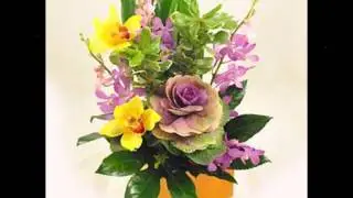 Aranjamente florale business