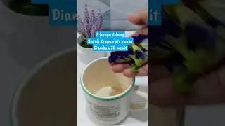 Es bunga telang minuman sehat untuk buka puasa