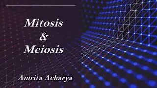 Genetics Tutorial 5 - Mitosis and Meiosis