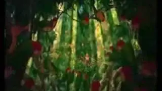 Tarzan - Strangers Like Me (Icelandic)