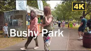 EXPLORING DUBLIN :  Dublin's  BUSHY Park Food and Art Market - 4k Cinematic Video, IRELAND