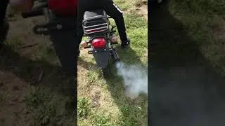 Альфа дымит