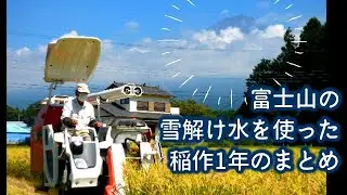 Rice made with snowmelt water from Mt. Fuji 社長(じいじ)の田園 富士山の雪解け水で作るお米１年のまとめ 富士宮市白糸 稲作 狩宿の下馬桜地区
