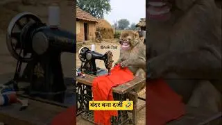 Monkey becomes tailor |🤣😂 Thethar puns comedy | #aalupyaj #comedy #ytfeeds #comedy #thetharpuns