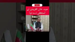 Meena Afridi Resign PTI