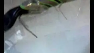 great robot 0