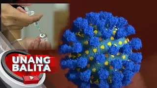 WHO Advisory Group: Dapat i-target ng COVID-19 booster shots ang kasalukuyang... | UB
