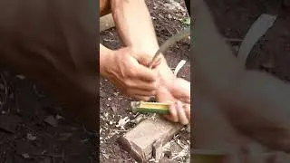 technique to make wild chicken trap