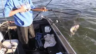 BTFM's Matt Carlson hooking up with metro walleye