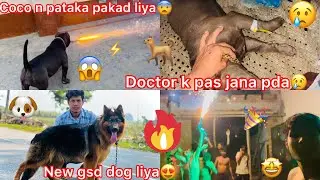 New Gsd Monster Dog Liya😍|| Coco N Pataka Pakad Liya😨Doctor K Pas Laka Jana Pda