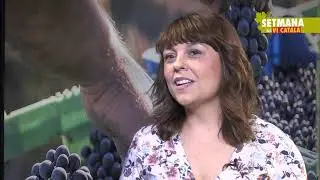 MEET THE DO's - DO Costers del Segre #SetmanaViCatal&agrave; #SetmanaViTV
