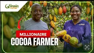 Огромная какао-плантация площадью 45 акров в Гане 🇬🇭 Он делится своим главным секретом успешного ...